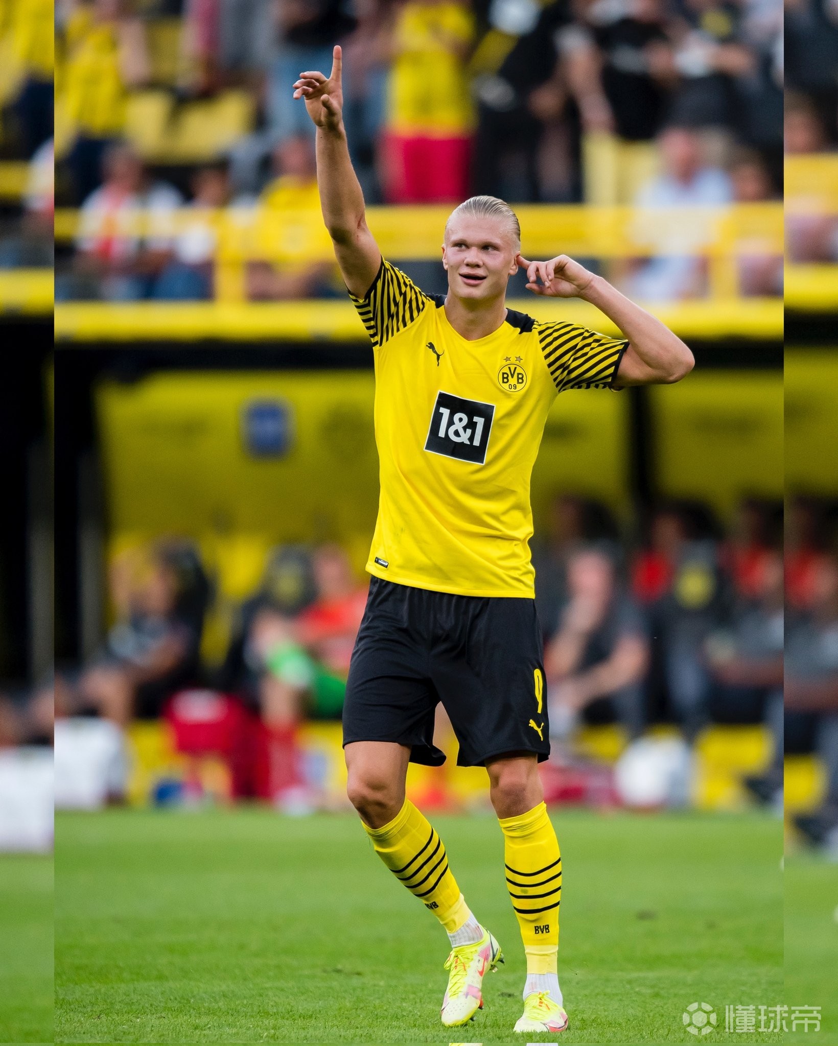 纽约尼克斯训练开放日;加时末段门线救险引欢呼;德甲在即;资深球员宣示担当(纽约尼克斯vs金州勇士) 纽约尼克斯训练开放日;加时末段门线救险引欢呼;德甲在即;资深球员宣示担当(纽约尼克斯vs金州勇士)